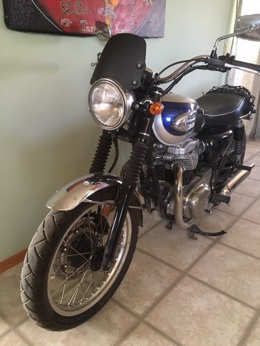 Customer photo review of Flyscreen - Piranha