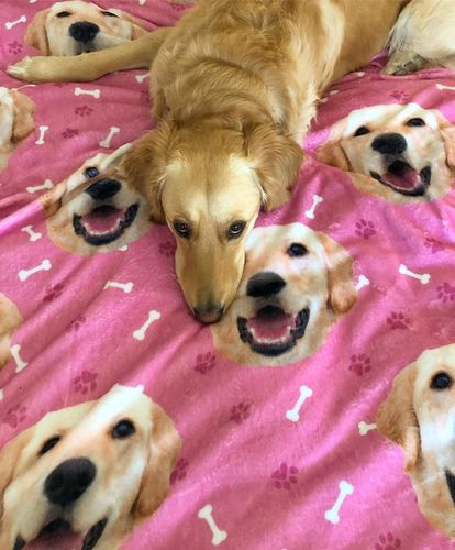 Customer photo review of Couverture Personnalisée Chien