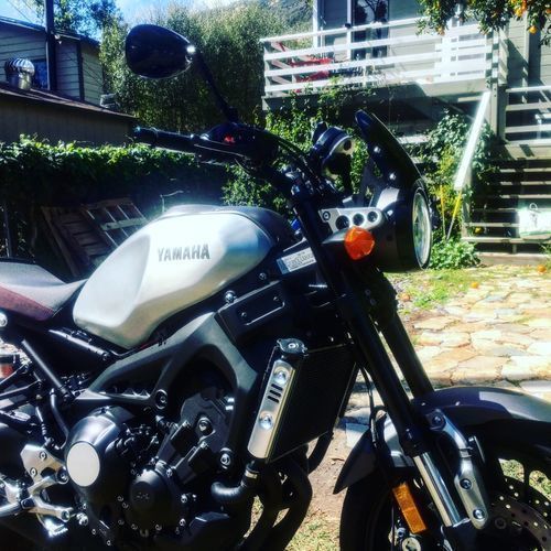 Customer photo review of Yamaha XSR900 - Piranha
