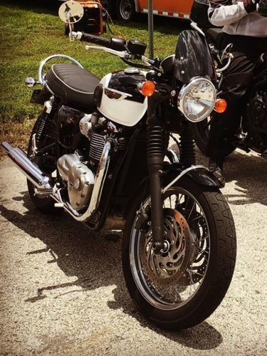 Customer photo review of Flyscreen - Classic