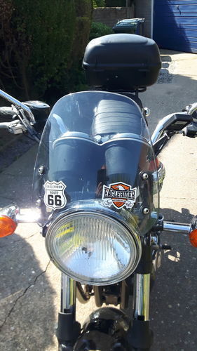 Customer photo review of Triumph Bonneville T100 - Classic