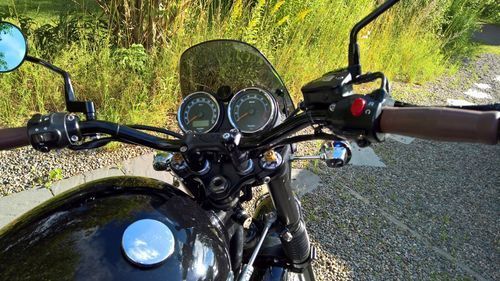 Customer photo review of Flyscreen - Classic