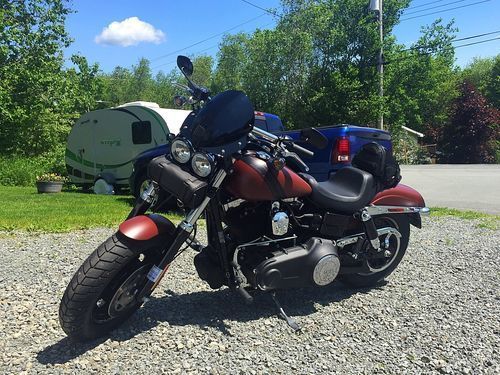 Customer photo review of Flyscreen - Manta