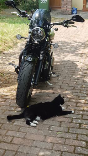 Customer photo review of Triumph Street Twin - Classic