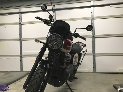 Customer photo review of Flyscreen - Piranha