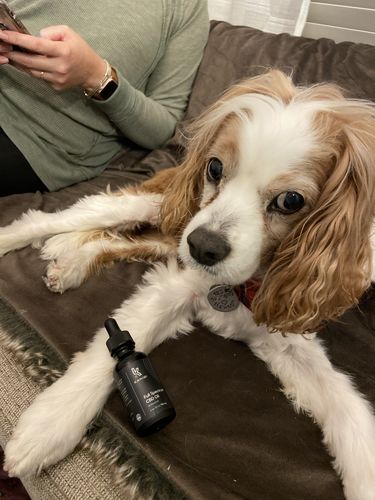 Customer photo review of Full Spectrum CBD Oil Tincture