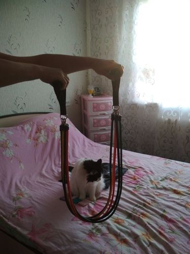 Customer photo review of Resistance BeastBands™ Easy At Home Workout