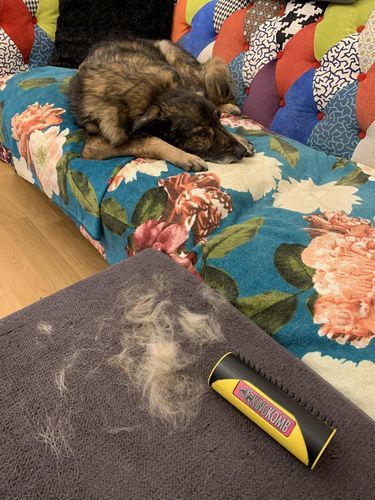 Customer photo review of KingKomb - 3in1 Multifunktionale Bürste