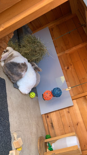 Customer photo review of 50/50 Hay Box