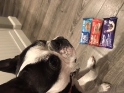Customer photo review of Variety Pack of 12 Superbars