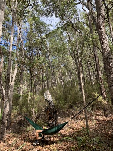 Seamus K. review of Ultralight Hammock image 1 out of 1