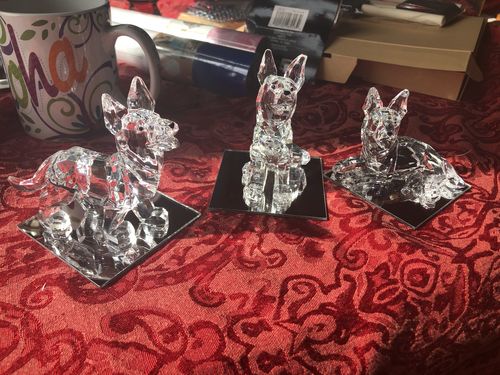 Customer photo review of German Shepherds