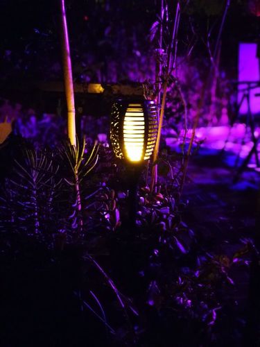 Customer photo review of Homizee™ Solar-fackel