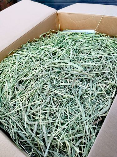 Customer photo review of Timothy Hay Box