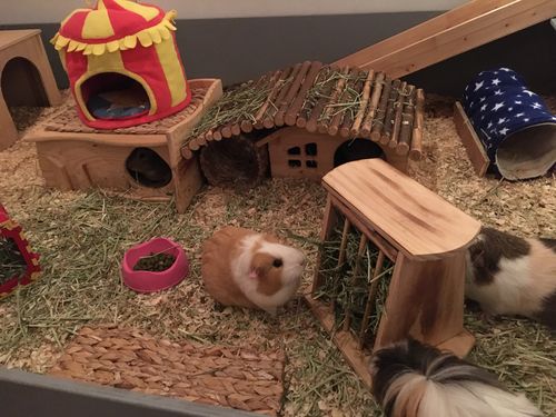 Customer photo review of 50/50 Hay Box