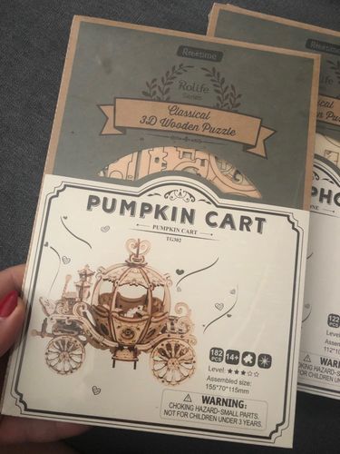 Customer photo review of 3D Wooden Puzzle Model Kits - Collection 1