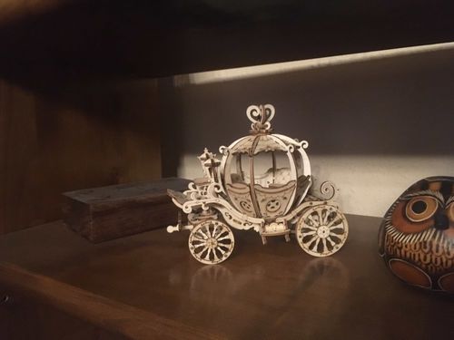 Customer photo review of 3D Wooden Puzzle Model Kits - Collection 1