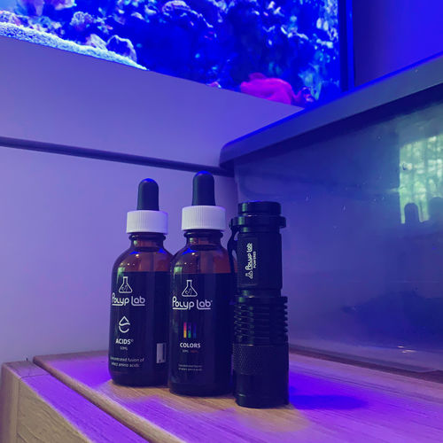 Customer photo review of Scope