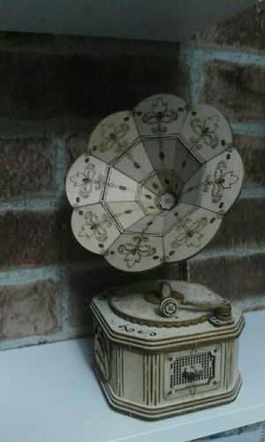 Customer photo review of 3D Wooden Puzzle Model Kits - Collection 1