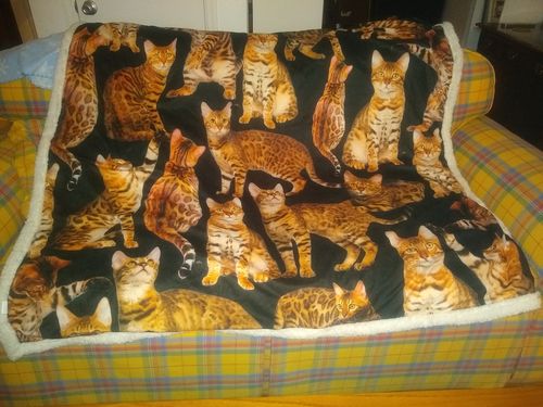 Customer photo review of You Will Have A Bunch Of Bengal Cats - Blanket V1