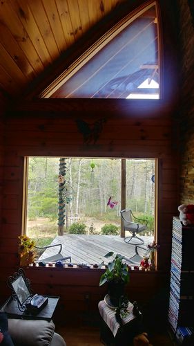 Customer photo review of American Eagle