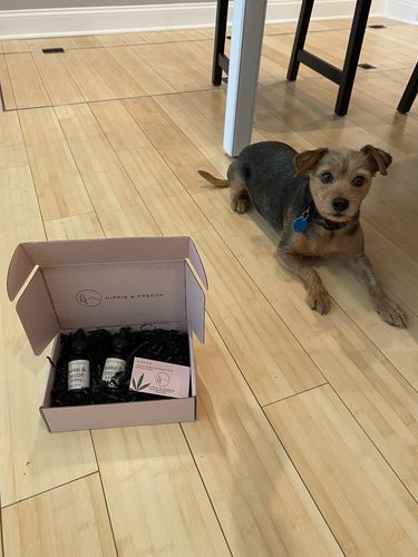 Customer photo review of Hippie & French Wake & Bacon Pet CBD 600mgs
