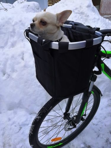 Customer photo review of Premium Bicycle Storage Front Basket