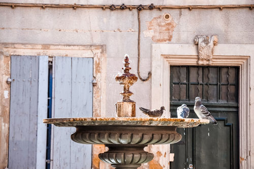 Customer photo review of ULTIMATE PACKAGE DESKTOP