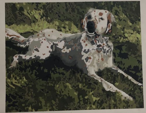 Customer photo review of Custom Paint by Number Kit