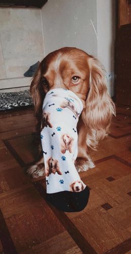 Customer photo review of Chaussettes Personnalisées Animal