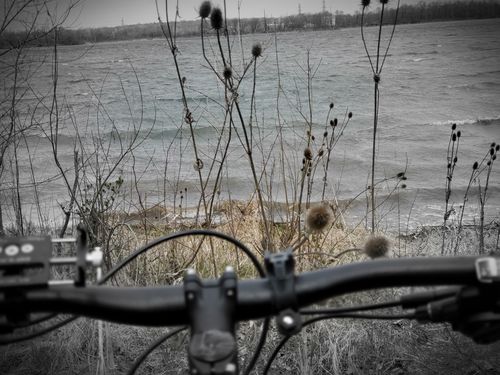 Customer photo review of All Mountain Handlebar