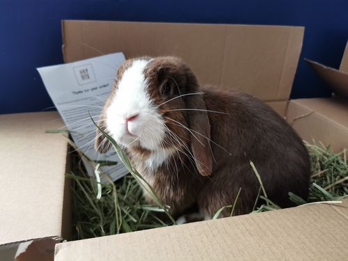 Customer photo review of 50/50 Hay Box