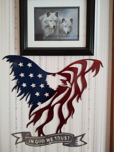 Customer photo review of American Eagle