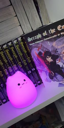 Customer photo review of Cat Lamp (3 Styles)