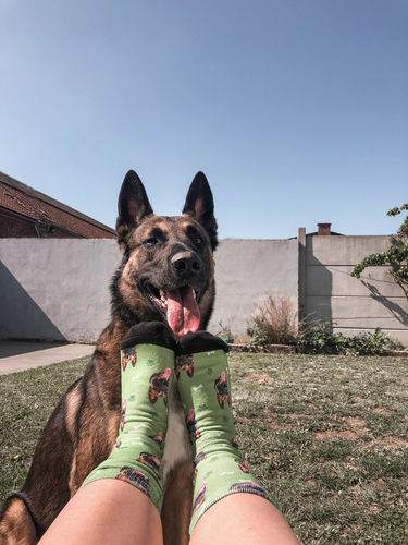 Customer photo review of Chaussettes Personnalisées Animal