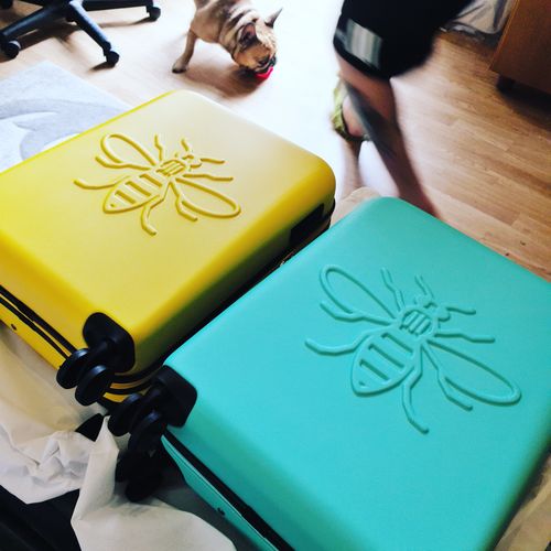 Customer photo review of Yellow USBee Cabin Case