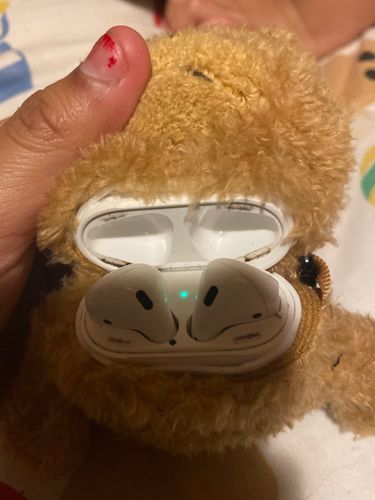 Customer photo review of HipCity Ted Airpod Case