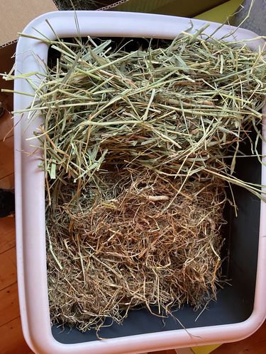 Customer photo review of Timothy Hay Box