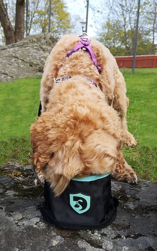 Kundeanmeldelse med foto af DogCoach Waterbowl - Mint