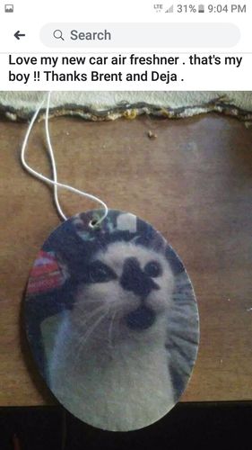 Customer photo review of Oval Portrait Air Freshener