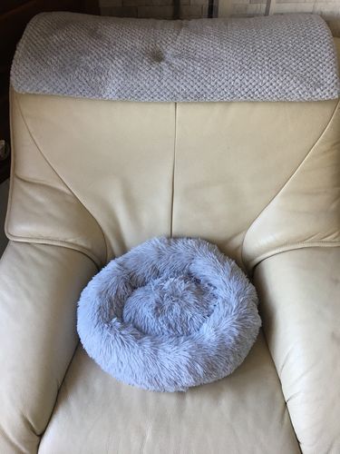 Customer photo review of FluffyBed™ - Gemütliches Haustierbett