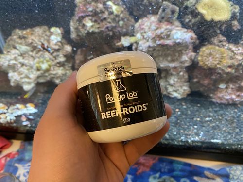 Customer photo review of Reef-Roids