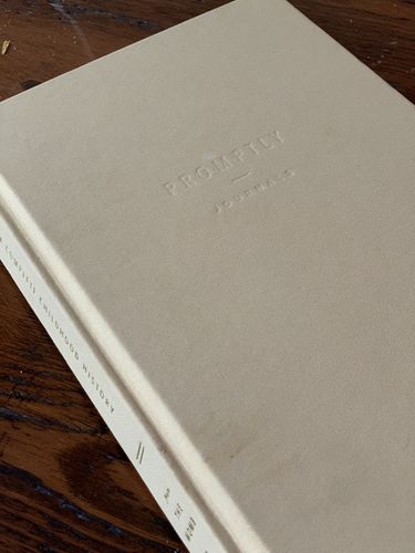 Customer photo review of Childhood History - Dusty Rose