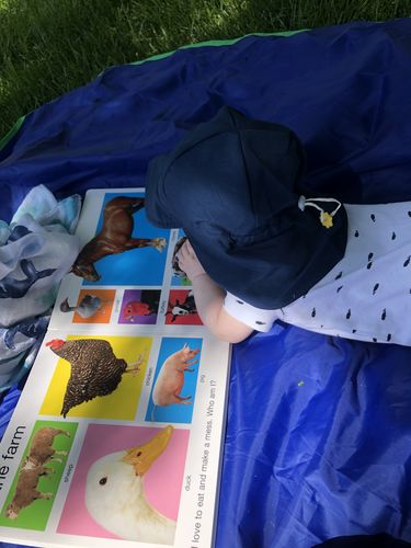 Customer photo review of BeachSheetz Hermosa Collection