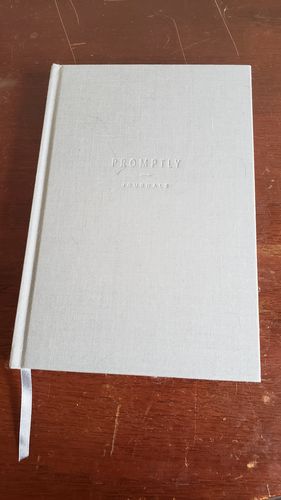 Customer photo review of Childhood History - Grey