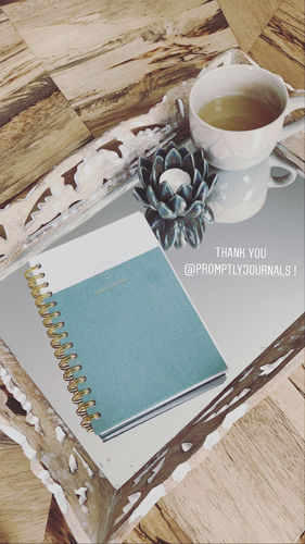 Customer photo review of Gratitude Journal - Sea Foam