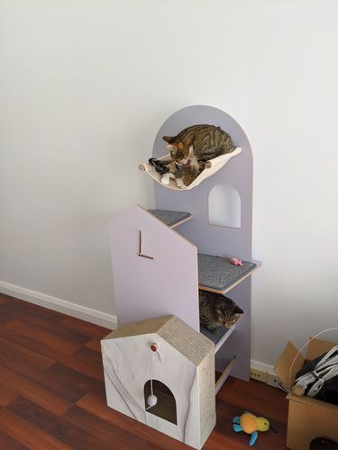 Customer photo review of Furrytail Cat Time Cat Scratching Post Tree | Cat Tower