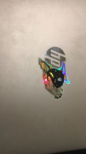 Customer photo review of Squish Cat Head, Holographic Sticker
