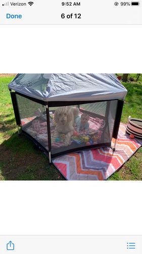 Customer photo review of Pop N' Go® Playpen