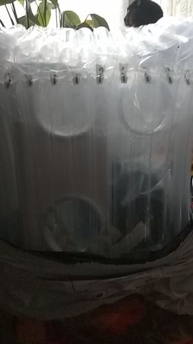 Customer photo review of The Purrfect Bowl